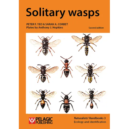 Solitary wasps - Paperback