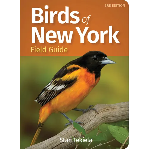Birds of New York Field Guide - Paperback