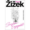 Surplus-Enjoyment: A Guide for the Non-Perplexed - Paperback
