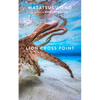 Lion Cross Point - Paperback