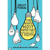 The Seventh Most Important Thing - Paperback