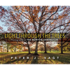 Light Through the Trees: Photographs at the Morton Arboretum - Hardcover