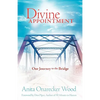 Divine Appointment - Paperback