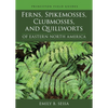 Ferns, Spikemosses, Clubmosses, and Quillworts of Eastern North America - Paperback