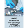 Magic Mushroom: Psilocybin (Magic Mushrooms) Uses And Effects: Central Nervous System Consists Of - Paperback