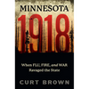 Minnesota, 1918: When Flu, Fire, and War Ravaged the State - Paperback