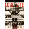 Low Life: Lures and Snares of Old New York - Paperback