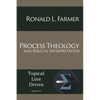 Process Theology and Biblical Interpretation - Paperback