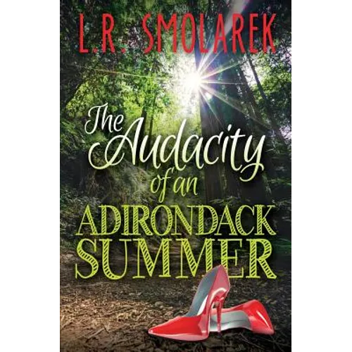 Audacity of an Adirondack Summer - Paperback