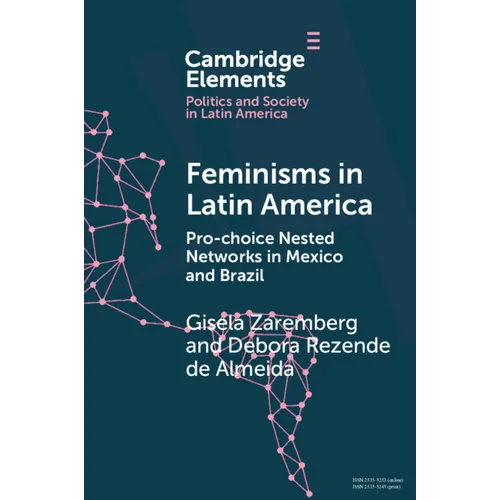 Feminisms in Latin America - Paperback