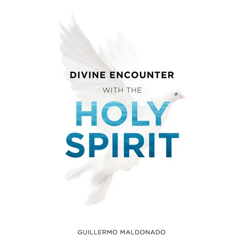 Divine Encounter with the Holy Spirit - Paperback