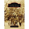 Remembering Michigan's Civil War Soldiers - Paperback