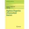 Algebraic Properties of Generalized Inverses - Paperback