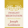 Insight Meditation: The Practice of Freedom - Paperback