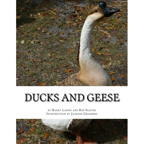 Ducks and Geese - Paperback