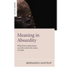 Meaning in Absurdity: What Bizarre Phenomena Can Tell Us about the Nature of Reality - Paperback