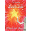 The Secret of Starlight Landing - Paperback