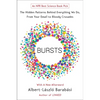 Bursts: The Hidden Patterns Behind Everything We Do, from Your E-mail to Bloody Crusades - Paperback