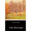 Under the Maples - Paperback