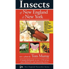 Insects of New England & New York - Paperback