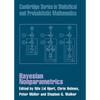 Bayesian Nonparametrics - Hardcover