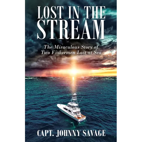 Lost in the Stream - Paperback