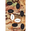 Investigations of a Dog: And Other Creatures - Paperback