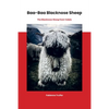 Baa-Baa Blacknose Sheep: The Blacknose Sheep from Valais - Paperback