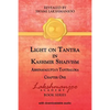 Light on Tantra in Kashmir Shaivism: Chapter One of Abhinavagupta's Tantraloka - Paperback