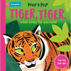 Tiger, Tiger, What Stripy Fur You Have! - Board Book