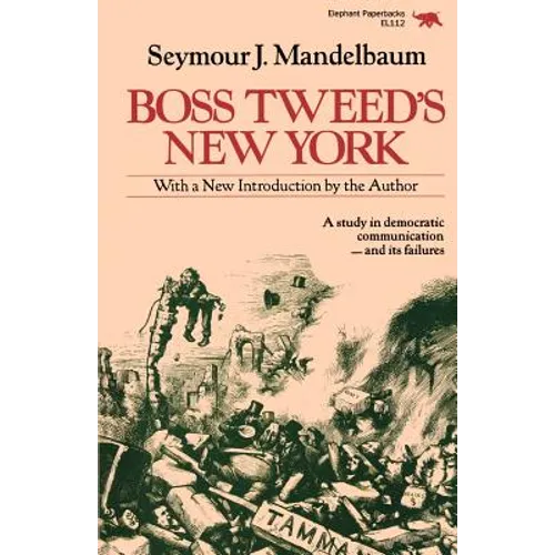 Boss Tweed's New York - Paperback