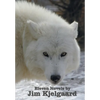 Eleven Novels by Jim Kjelgaard (complete and unabridged) including: The Spell of the White Sturgeon, The Lost Wagon, Trading Jeff and his Dog, Double - Paperback