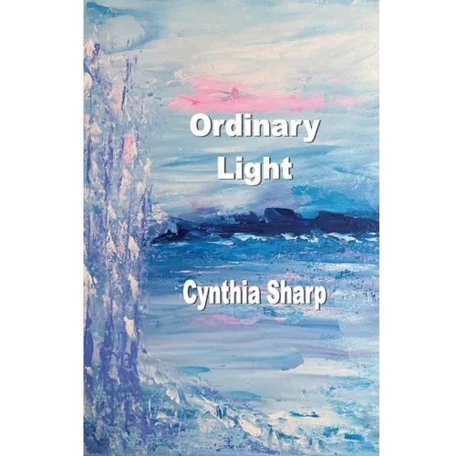 Ordinary Light - Paperback