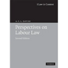Perspectives on Labour Law - Paperback