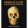 Phineas Gage: A Gruesome But True Story about Brain Science - Paperback