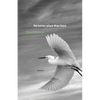 No better place than here - Paperback