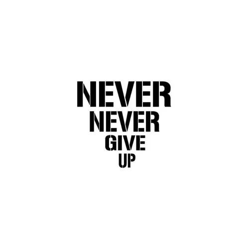 Never Never Give Up - Paperback