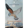 Fé Gheasa / Spellbound - Paperback