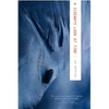 A Sideways Look at Time - Paperback