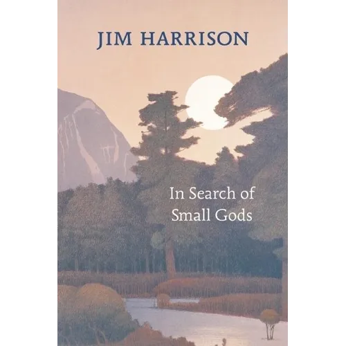 In Search of Small Gods - Paperback