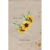 Life In a Blink - Paperback