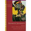 Separate Journeys: Short Stories by Contemporary Indian Women - Paperback
