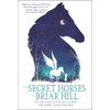 The Secret Horses of Briar Hill - Paperback
