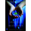 Amaryllis in Blueberry - Paperback