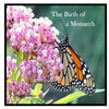 The Birth Of A Monarch: Metamorphosis of a Monarch Butterfly - Paperback