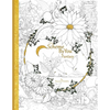 Scheme By You Fantasy - Paperback