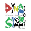 Dynamic Symmetry: The Foundation of Masterful Art - Hardcover