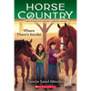 Where There's Smoke (Horse Country #3): Volume 3 - Paperback