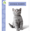 Animal Babies - Paperback