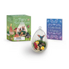 Mini Fairy Terrarium - Paperback